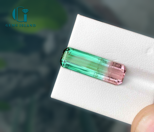 Beautiful Bi Color Tourmaline 5.85 Carats