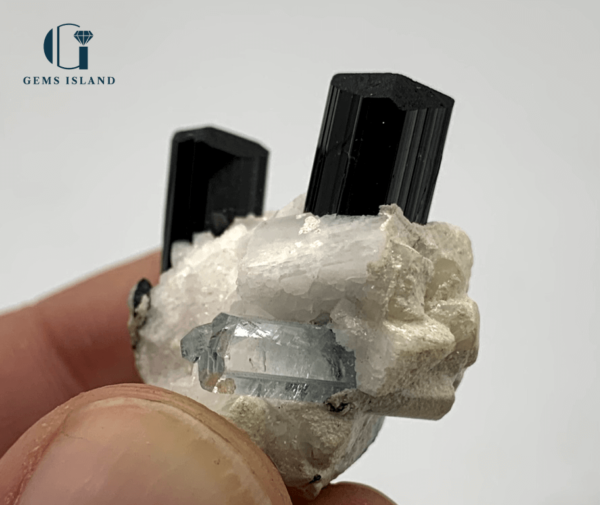 Aquamarine and Black Tourmaline Specimen on Albite