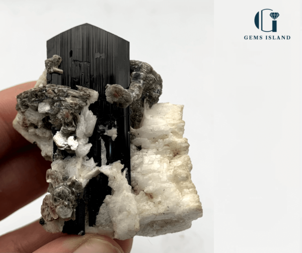 Bulky Black Tourmaline Specimen with Albite and Mica