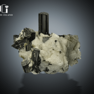 Black Tourmaline Crystals on Albite