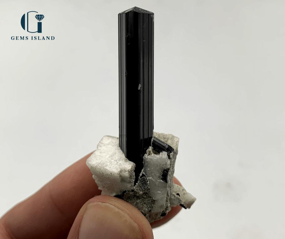 Black Tourmaline Crystals on Albite